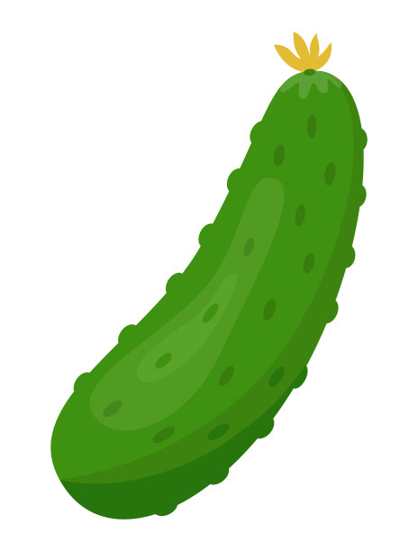 成熟黄瓜的插图。健康食品或素食主题。新鲜有机农场蔬菜。图片下载