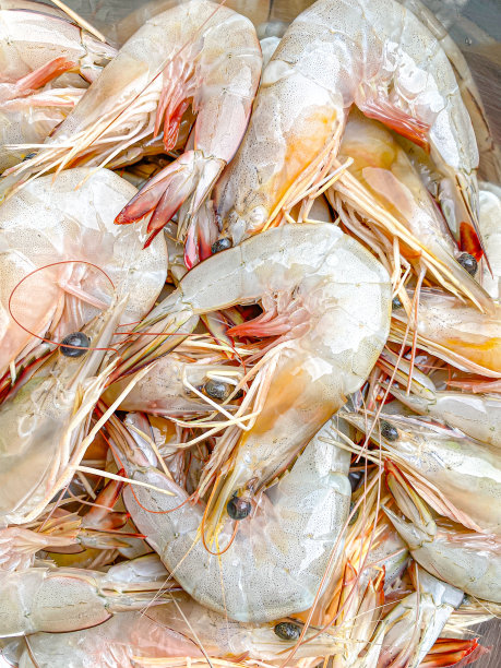 市场摊位上摆放的鲜虾图片下载