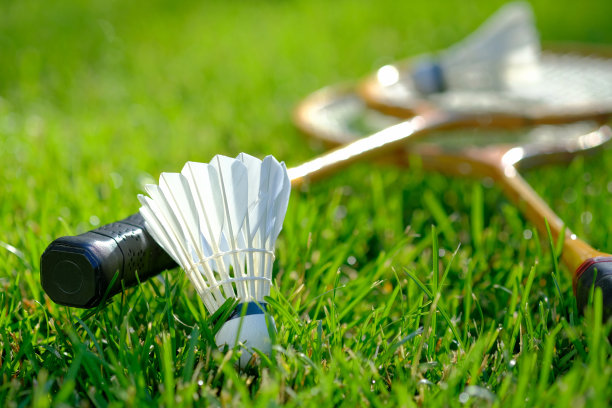 一套羽毛球拍，一个用羽毛做的白色羽毛球。特写镜头。图片下载