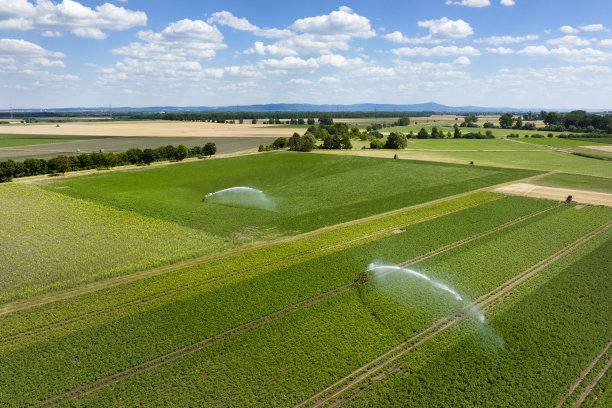 农业喷灌区，鸟瞰图图片下载