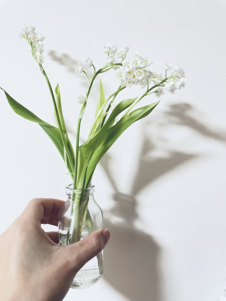 铃兰装在玻璃瓶里，一只手握着它，倒影和影子图片下载