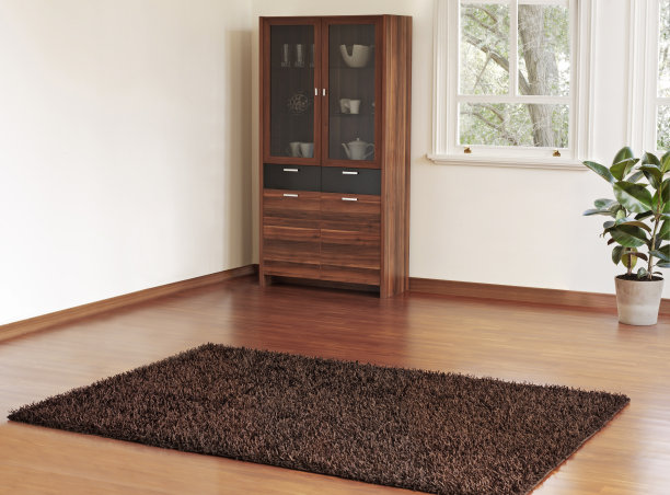 空的现代家庭图片下载