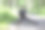 一个胖女人绕着公园跑。图片下载