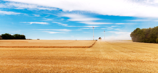 联合收割机切割小麦，现代联合收割机在小麦作物上工作。在麦田里工作的联合收割机。收割小麦。农业。图片下载