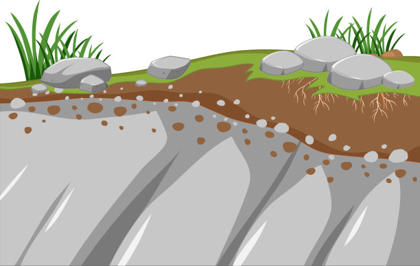 先锋物种的教育图表图片下载