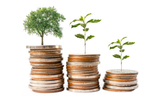 树苗叶子上的存钱硬币，商业金融储蓄银行的投资理念。图片下载