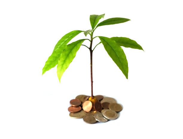 金币钱堆上长出新芽。财务与省钱的概念。图片下载