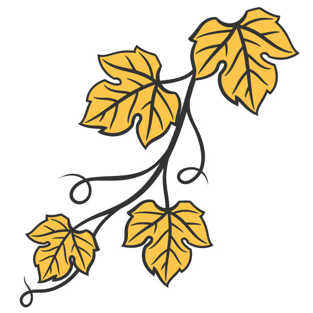 葡萄藤带叶酒庄图片下载