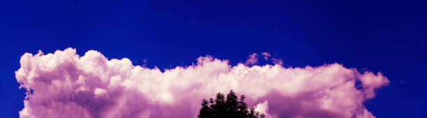 树在云的背景上。图片下载