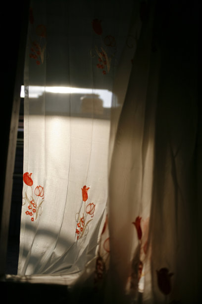 有花卉图案的薄窗帘图片下载