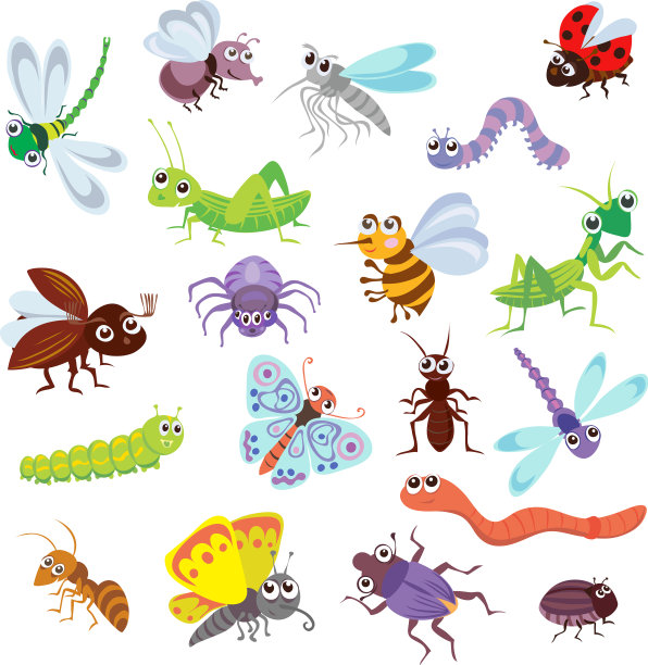 有趣的虫子和其他昆虫图片下载