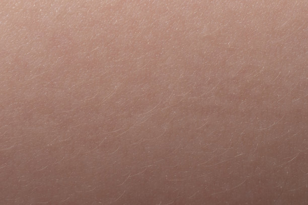 小山羊皮表面有浅色毛图片下载