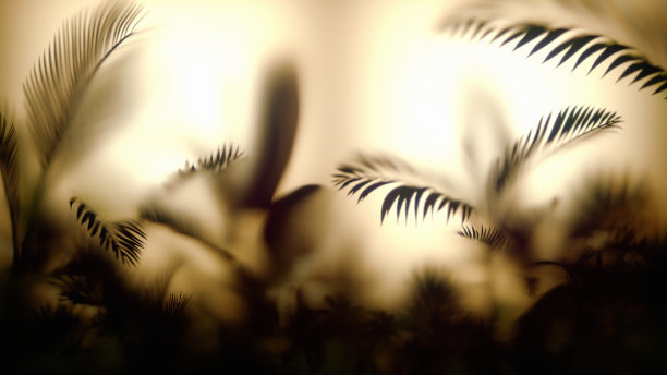 模糊的热带树叶后面磨砂玻璃。Glassmorphism。热带叶背景。3 d演示。图片下载