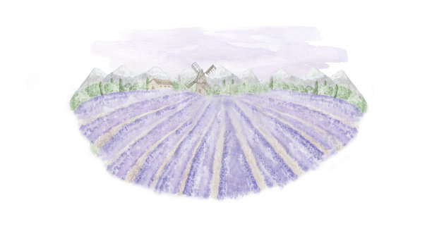 薰衣草田的景观。水彩插图。图片下载