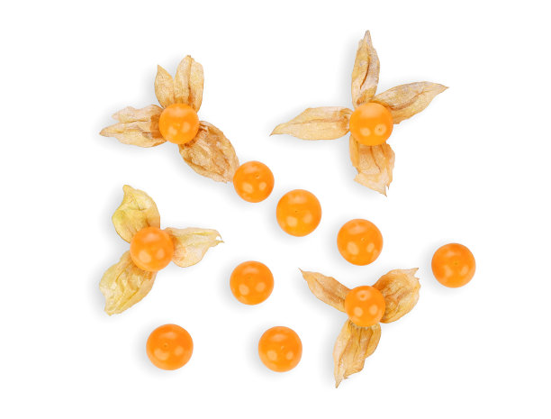 角醋栗(酸浆)在白色上分离图片下载