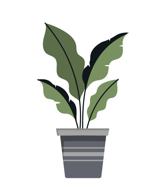 带绿叶的花盆图片下载