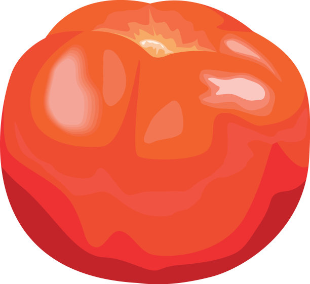 新鲜tomatoe蔬菜图片下载