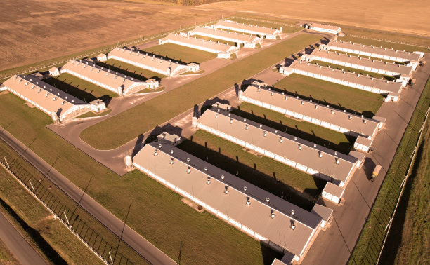 村中有奶牛和猪的农场建筑，鸟瞰图。靠近农田的牛棚。图片下载