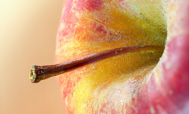 一个苹果和它的柄的微距镜头图片下载