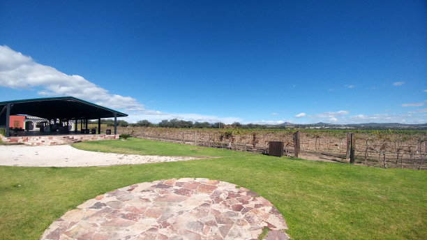 在多云的天空下，开阔的草地和葡萄种植，是周末休息和放松或度假的理想去处图片下载