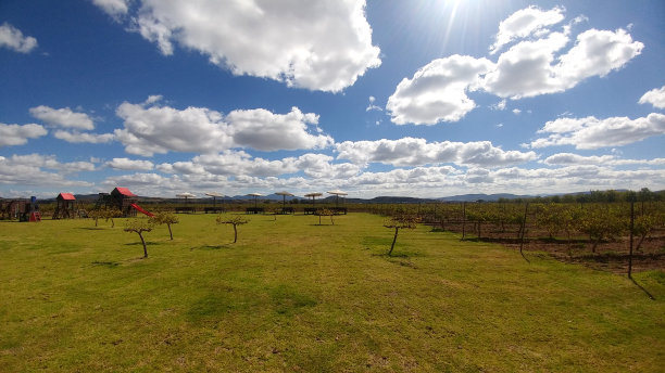 在多云的天空下，开阔的草地和葡萄种植，是周末休息和放松或度假的理想去处图片下载