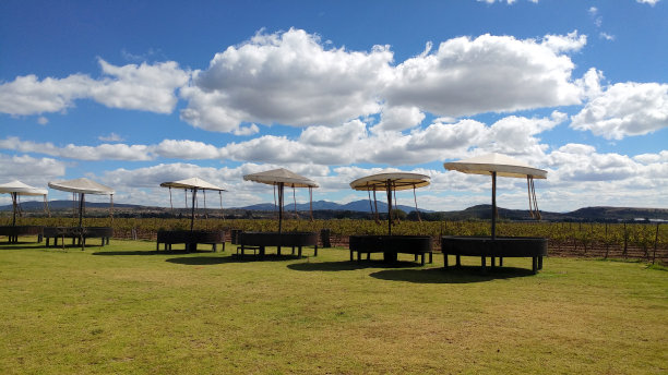 在多云的天空下，开阔的草地和葡萄种植，是周末休息和放松或度假的理想去处图片下载