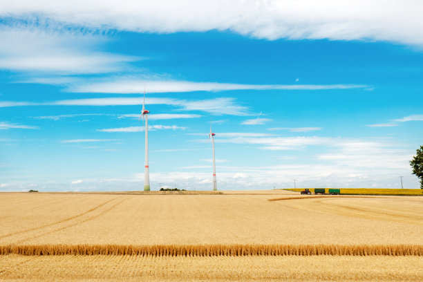 拖拉机在麦田里工作。收割小麦。农业。图片下载