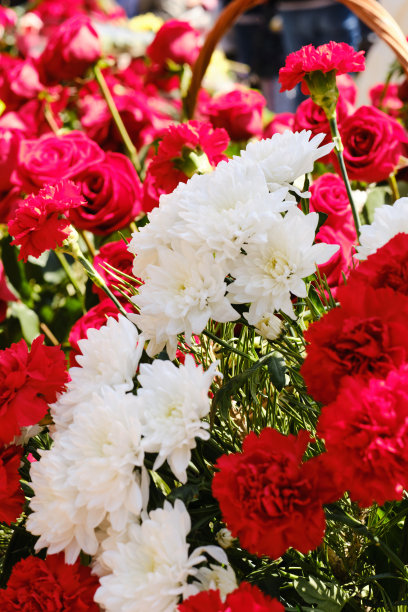 在5月9日的胜利日献花。图片下载