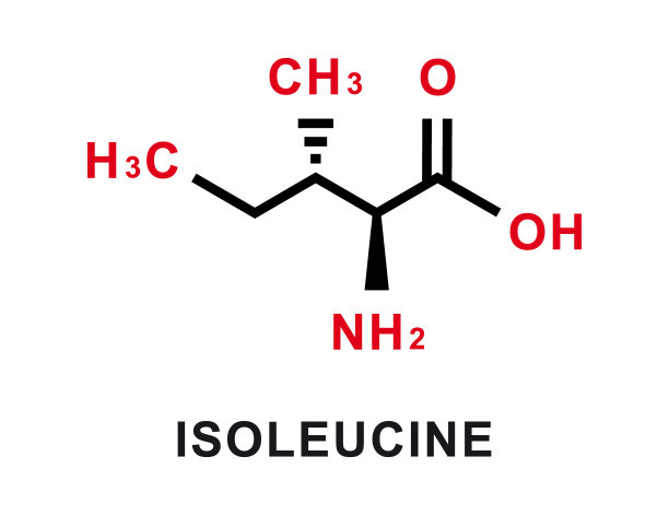 异亮氨酸化学公式。异亮氨酸的化学分子结构。矢量图图片下载