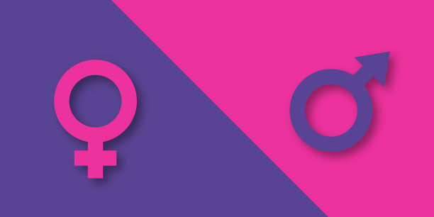 男人或男孩与女人或女孩之间的关系概念。女性和男性性别标志在紫色和粉红色的背景。矢量剪纸插图图片下载