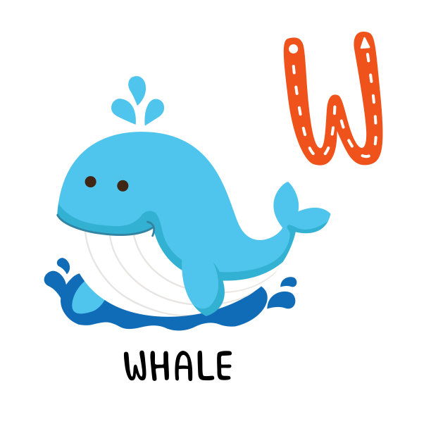 插图孤立的动物字母表字母W-Whale图片下载