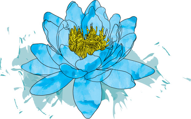 在色彩飞溅的背景上画莲花的抽象线条。图片下载