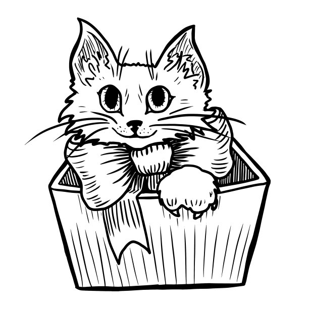 猫在盒子孤立在白色图片下载