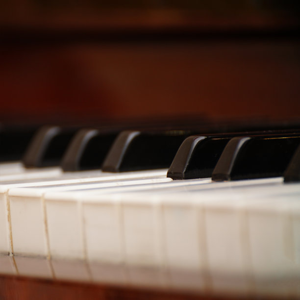 查看黑白钢琴键盘图片下载