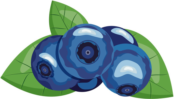 多汁的蓝莓图片下载