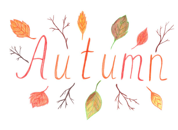 秋天的插图与树叶和树枝孤立在白色的背景图片下载