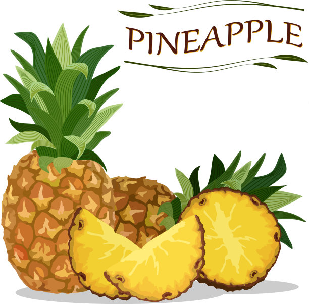 与菠萝图片下载