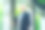 头发花白的女商人站在户外图片下载