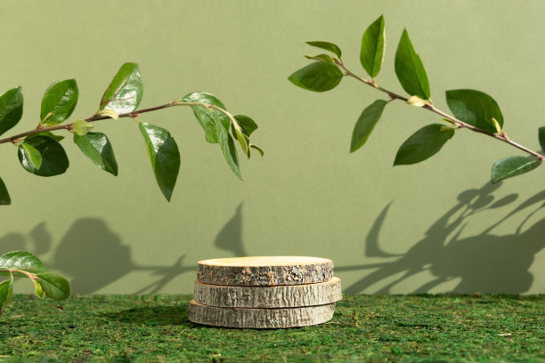 木片讲台和绿色的叶子在绿色的苔藓背景。优质场景产品推广，美容，自然生态化妆品。展示,显示情况。图片下载