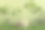 木片讲台和绿色的叶子在绿色的苔藓背景。优质场景产品推广，美容，自然生态化妆品。展示,显示情况。图片下载