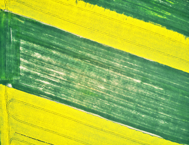 通过农田的乡村道路的抽象鸟瞰图图片下载