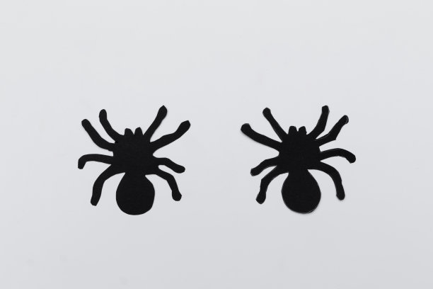 万圣节派对的装饰。图片下载