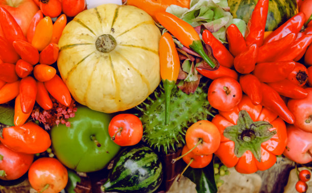 秋季静物：水果、蔬菜和浆果图片下载