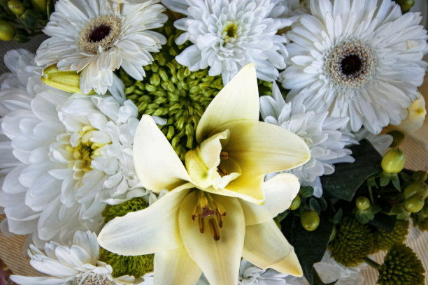 新鲜菊花自然背景：美丽的花束图片下载