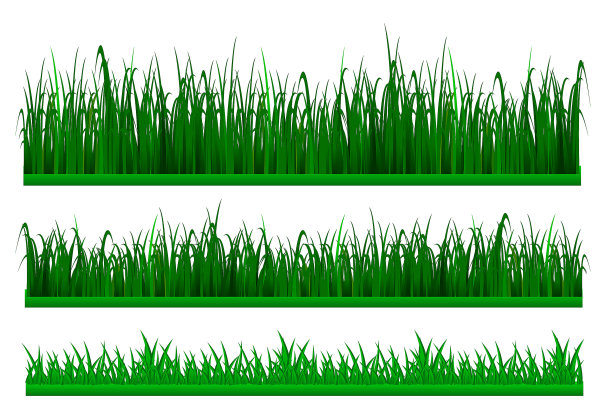 大草套绿边或绿鲜草孤立。每股收益向量图片下载
