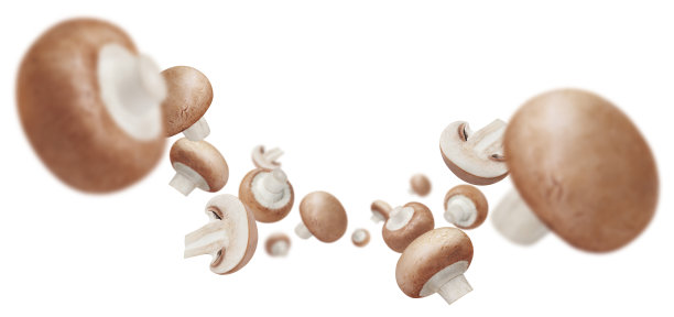 白上飞着美味的蘑菇图片下载