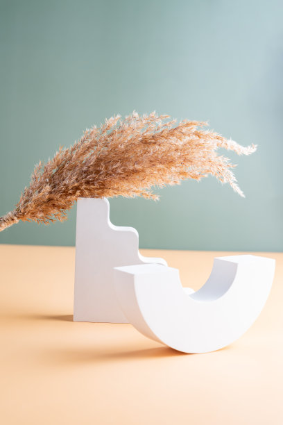 白色混凝土几何形状的平台和干燥的芦苇草为化妆品或产品展示提供了极简的创意构图背景。图片下载