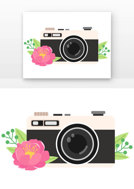 手绘摄影日花朵相机图片下载