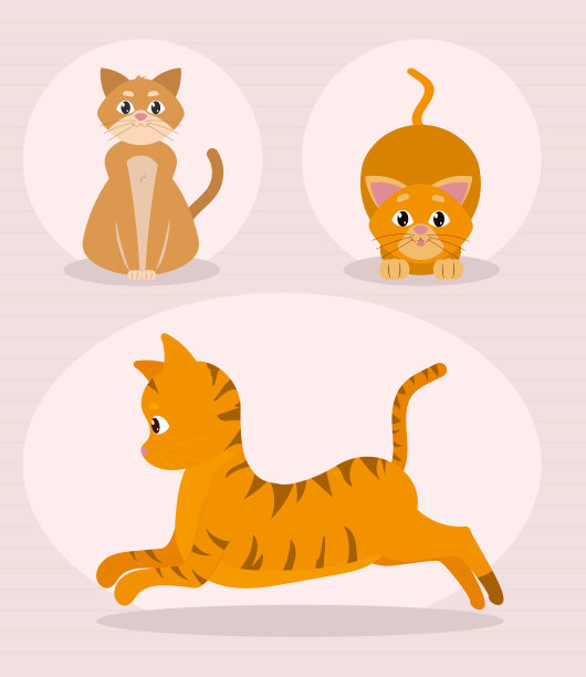 可爱猫咪图标合集图片下载