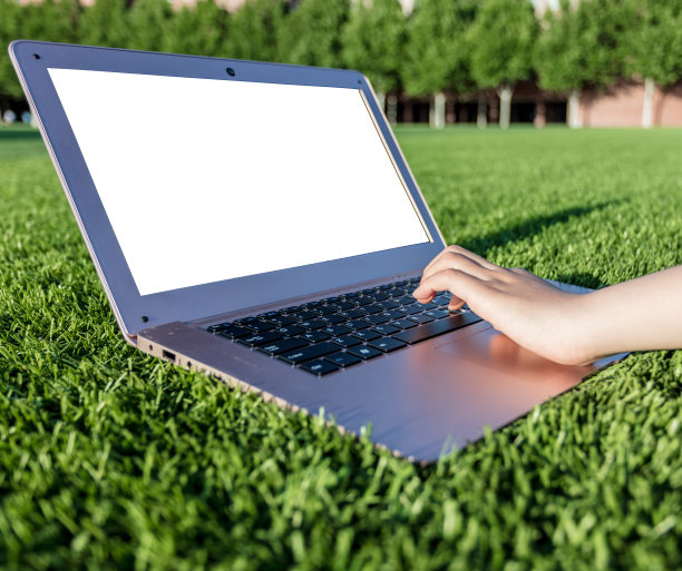 一个少年在绿茵茵的户外公园里用笔记本电脑学习。远程学习的概念图片下载